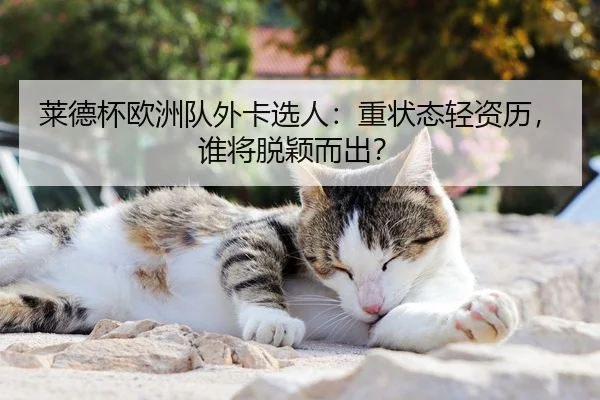 莱德杯欧洲队外卡选人：重状态轻资历，谁将脱颖而出？