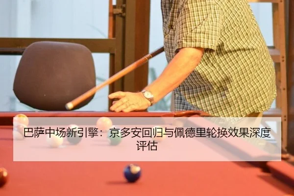 ba-sa-zhong-chang-xin-yin-qing-jing-duo-an-hui-gui-yu-pei-de-li-lun-huan-xiao-guo-shen-du-ping-gu-2-752.jpg