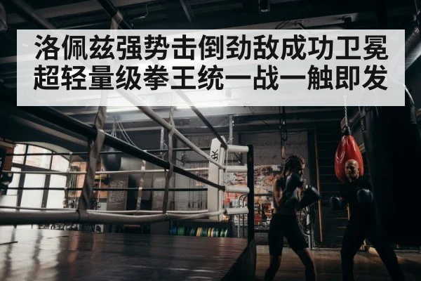 boxer training